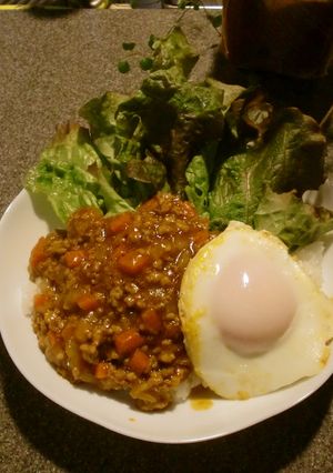 夏を満喫!♪ナシゴレン風麻婆ライス♪-レシピのメイン写真