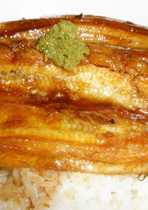 愛知の魚100選 アナゴの蒲煮丼-レシピのメイン写真