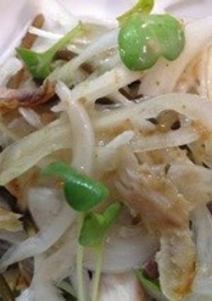 新玉葱とヒジキと干物のサラダ-レシピのメイン写真