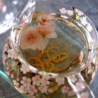 基本からアレンジまで！思わずつくりたくなる「桜茶」のレシピ集