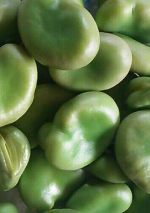 かんたん！空豆-レシピのメイン写真