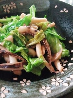 イカと春キャベツのアンチョビ炒め-レシピのメイン写真
