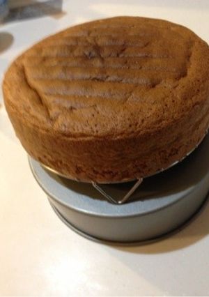 ふわふわココアスポンジケーキ-レシピのメイン写真