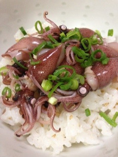 簡単!酢めしで☆ほたるいかのっけごはん-レシピのメイン写真
