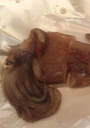 烏賊のゴロ焼-レシピのメイン写真