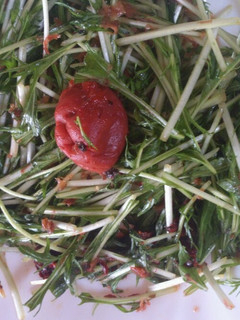 水菜と梅のサラダ-レシピのメイン写真