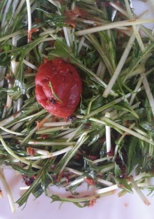 水菜と梅のサラダ-レシピのメイン写真