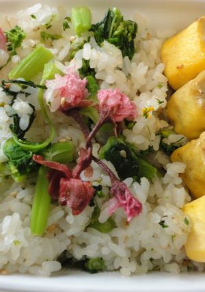 春一番・桜のごはん-レシピのメイン写真