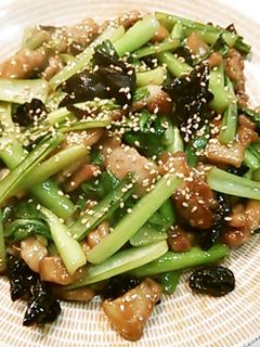 小松菜と豚肉のオイスターソース炒め-レシピのメイン写真