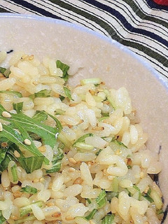 水菜とゴマの混ぜご飯-レシピのメイン写真