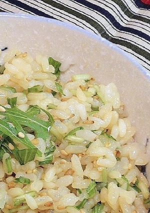 水菜とゴマの混ぜご飯-レシピのメイン写真