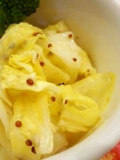 春キャベツの蜂蜜レモンサラダ-レシピのメイン写真