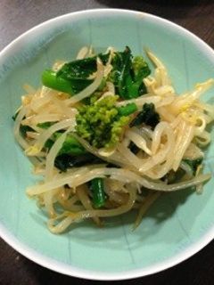 もやしと菜の花のさっぱり和え❁-レシピのメイン写真
