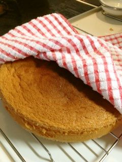 スポンジケーキ(21㎝丸型)-レシピのメイン写真