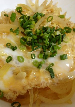 玉ねぎたっぷり丼-レシピのメイン写真