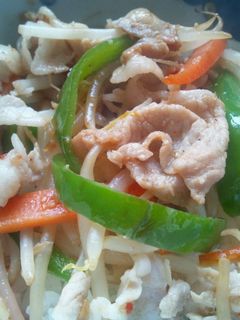 焼肉丼-レシピのメイン写真