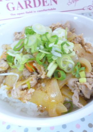 ダブルde美味しい肉・肉丼-レシピのメイン写真