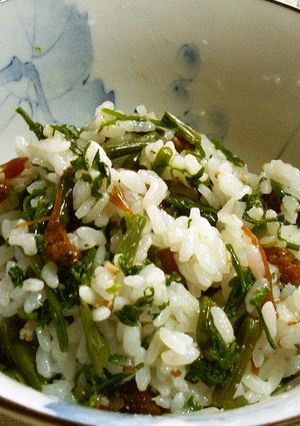 春の野草ご飯-レシピのメイン写真