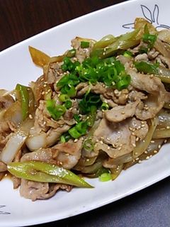 葱と豚肉のニンニク酢醤油-レシピのメイン写真
