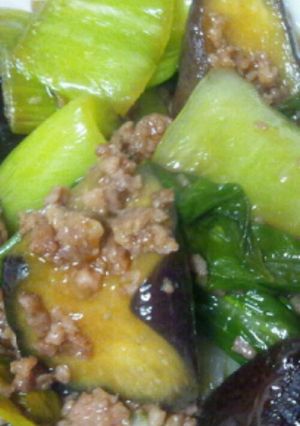 簡単！茄子とチンゲン菜の挽き肉炒め-レシピのメイン写真