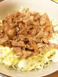 お肉と野菜も一緒にスタミナ丼-レシピのメイン写真