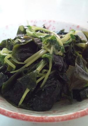 豆苗とワカメの和え物-レシピのメイン写真