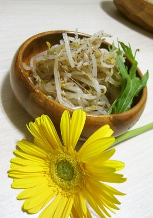 うま味たっぷりモヤシの中華ナムル-レシピのメイン写真