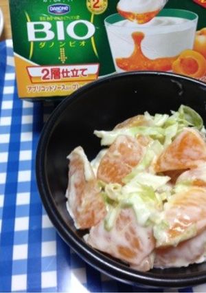 ビオで作る!キャベツとデコポンのサラダ☆-レシピのメイン写真