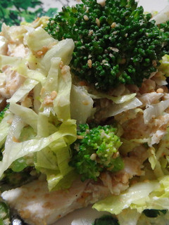 鶏胸肉とお野菜の胡麻和え-レシピのメイン写真