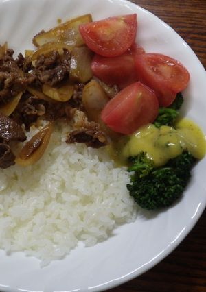 思わず2杯食べてしまう牛丼-レシピのメイン写真