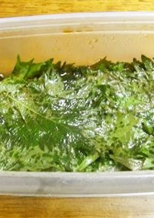 花粉症対策に、青しそのお漬物-レシピのメイン写真