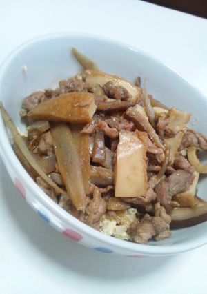 糖質減！ごぼう豚肉こんにゃく豆腐で丼！-レシピのメイン写真