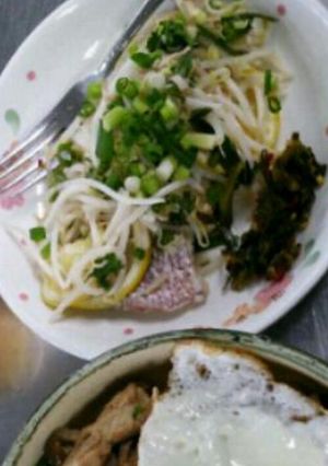 魚のシャン風蒸し物-レシピのメイン写真