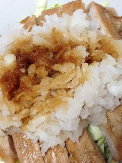 豚ロースの照りおろし( ఠ_ఠ )-レシピのメイン写真