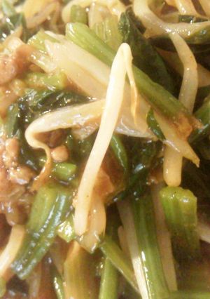麻婆茄子の素でほうれんもやし-レシピのメイン写真