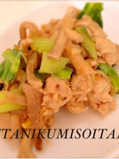 豚肉の味噌だれ炒め-レシピのメイン写真
