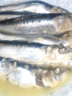 鰯の甘露煮-レシピのメイン写真