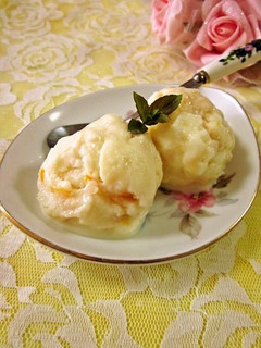 ジャム&酒かす&白味噌のヨーグルトアイス-レシピのメイン写真