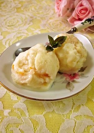 ジャム＆酒かす＆白味噌のヨーグルトアイス-レシピのメイン写真