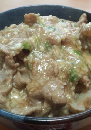 冷蔵庫にあるものでパパッと肉豆腐丼-レシピのメイン写真