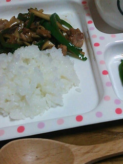 エリンギとピーマンで青椒肉絲風☆-レシピのメイン写真