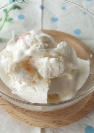 ビオで作る☆フローズンヨーグルトアイス-レシピのメイン写真