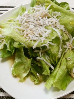 レタスとしらすのサラダ-レシピのメイン写真