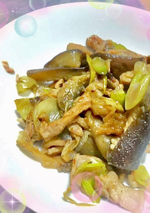 豚肉となすのピリ辛炒め-レシピのメイン写真