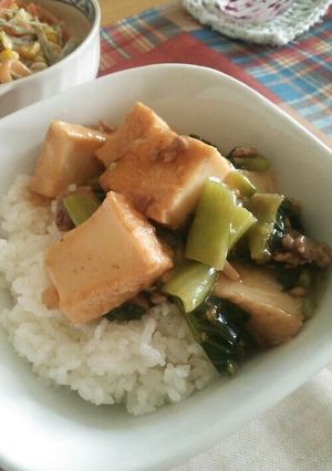 厚揚げとチンゲン菜の炒め物-レシピのメイン写真
