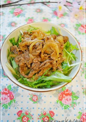 ピリッと旨い＊牛丼＊＊-レシピのメイン写真