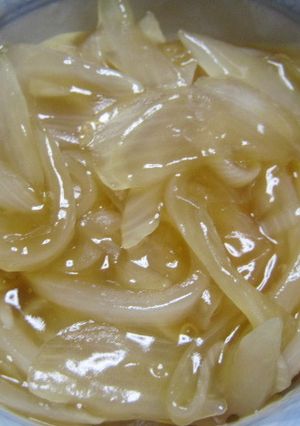 新玉ねぎ丼-レシピのメイン写真