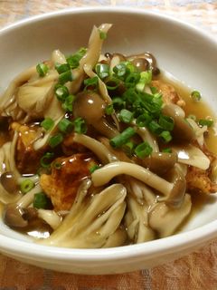 あんかけ凍り豆腐の唐揚げ-レシピのメイン写真