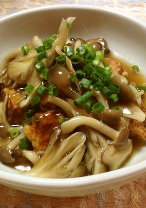 あんかけ凍り豆腐の唐揚げ-レシピのメイン写真