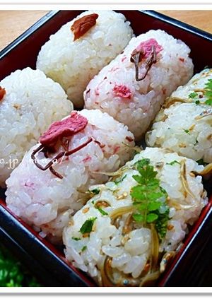 青いふりかけでおむすび-レシピのメイン写真